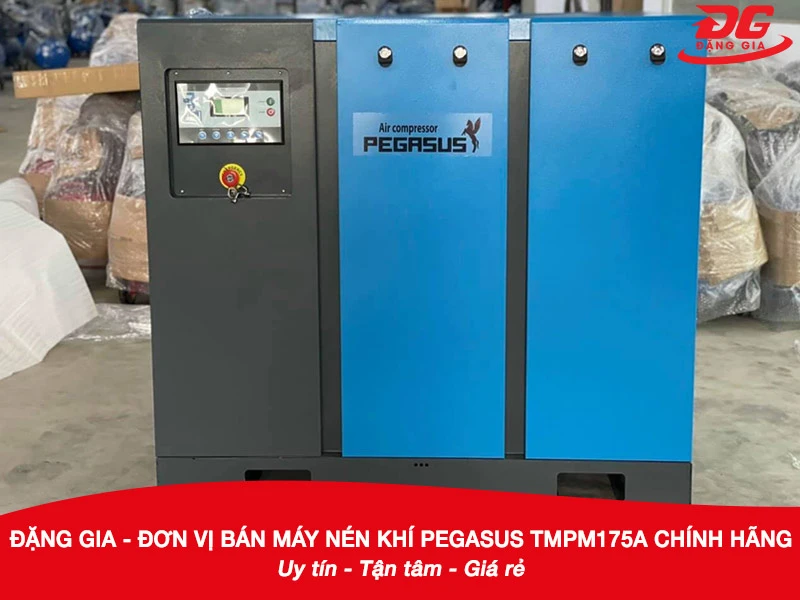 Đặng Gia - Đơn vị bán máy nén khí Pegasus TMPM175A chính hãng