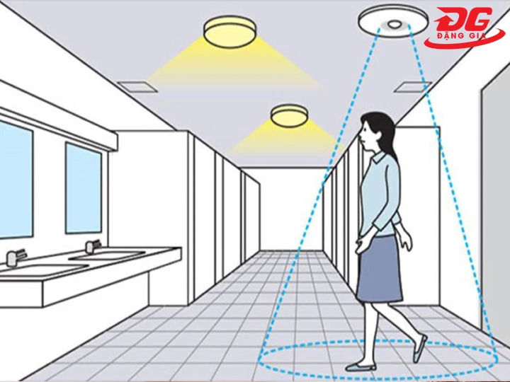 Độ nhạy và tốc độ phản hồi cao