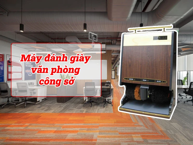 Máy đánh giày văn phòng, công sở