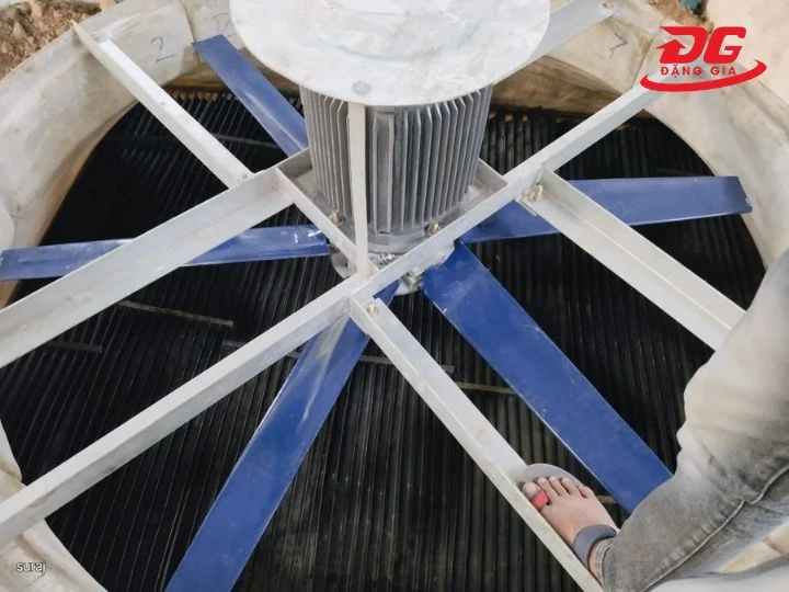 Kiểm tra và bảo dưỡng quạt, động cơ định kỳ