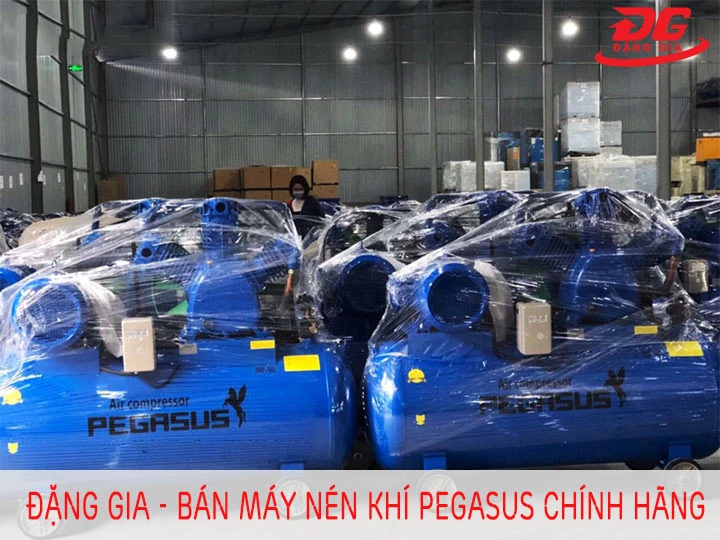 mua máy nén khí Pegasus