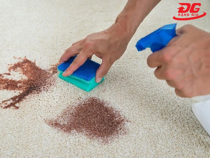 Cách giặt thảm lông bằng rượu