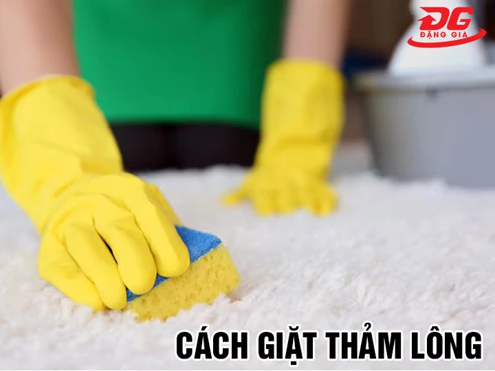 9 Cách giặt thảm lông: Đơn giản, Hiệu quả, Nhanh chóng