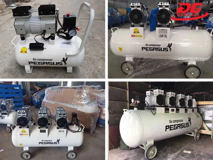 máy nén khí không dầu Pegasus