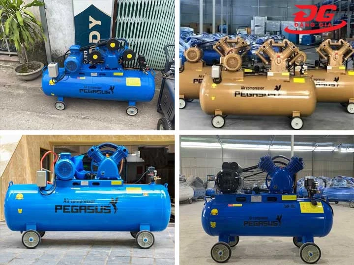 máy nén khí piston Pegasus