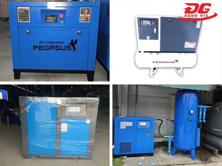 máy nén khí trục vít Pegasus