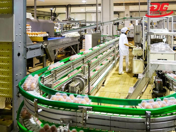 Loại sản phẩm cần kiểm tra