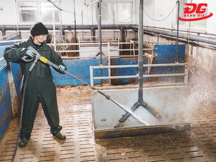 Chọn máy rửa chuồng trại mạnh mẽ