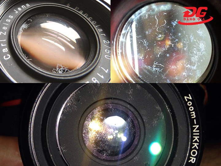 Độ ẩm ảnh hưởng đến máy ảnh