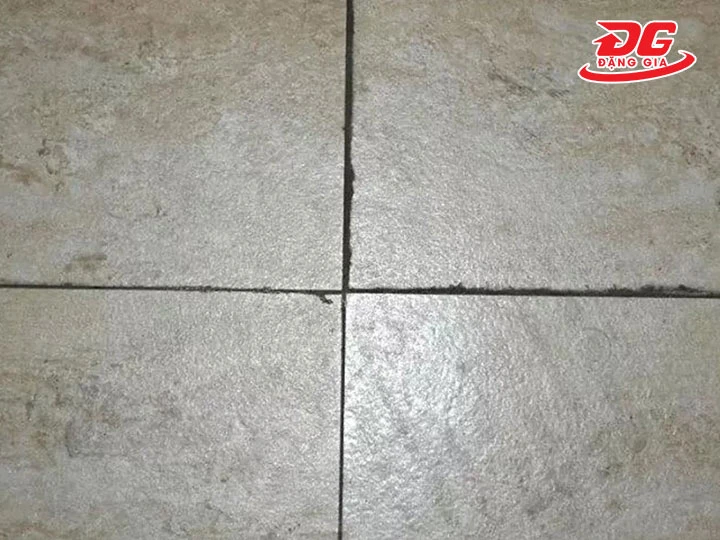 Ron gạch bị Đen: 6 Nguyên nhân & Cách khắc phục hiệu quả