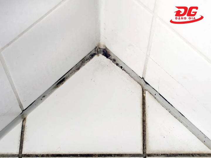 ron gạch bị đen do ẩm mốc