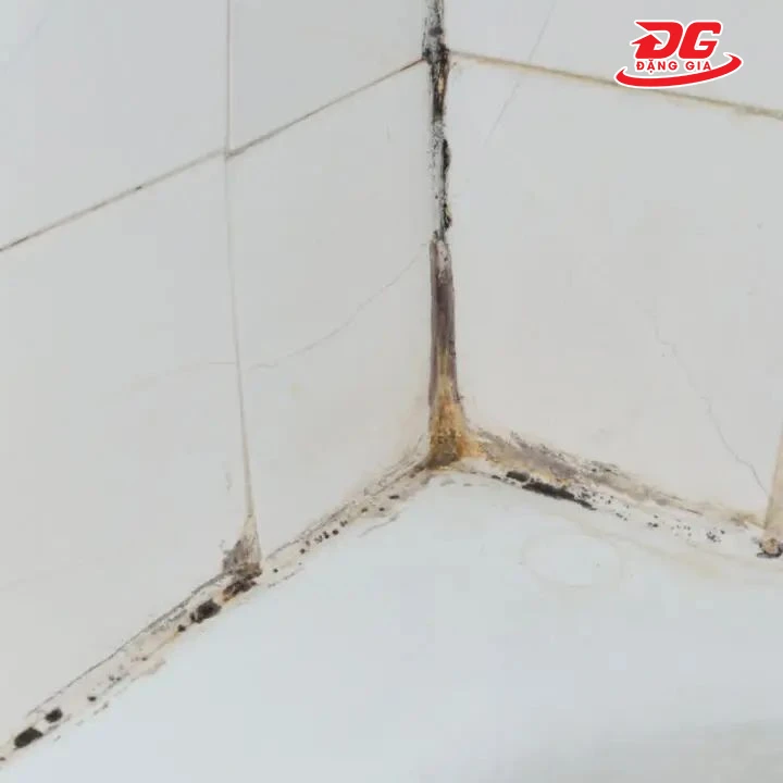 Ron gạch bị đen