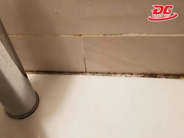 ron gạch bị đen