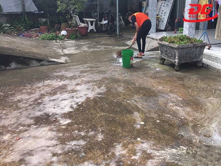 Lưu ý tẩy rêu trên nền xi măng