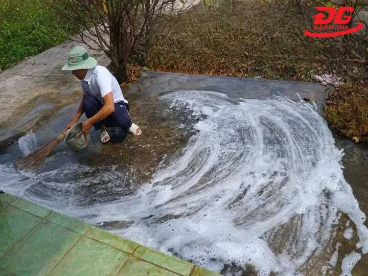 Phơi nắng trực tiếp diệt rêu mốc