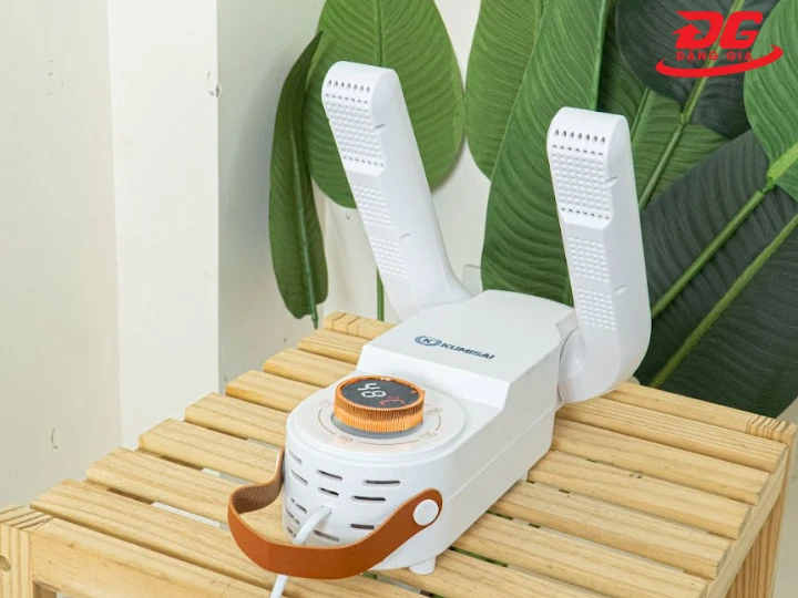 Sấy khô giày Ananas