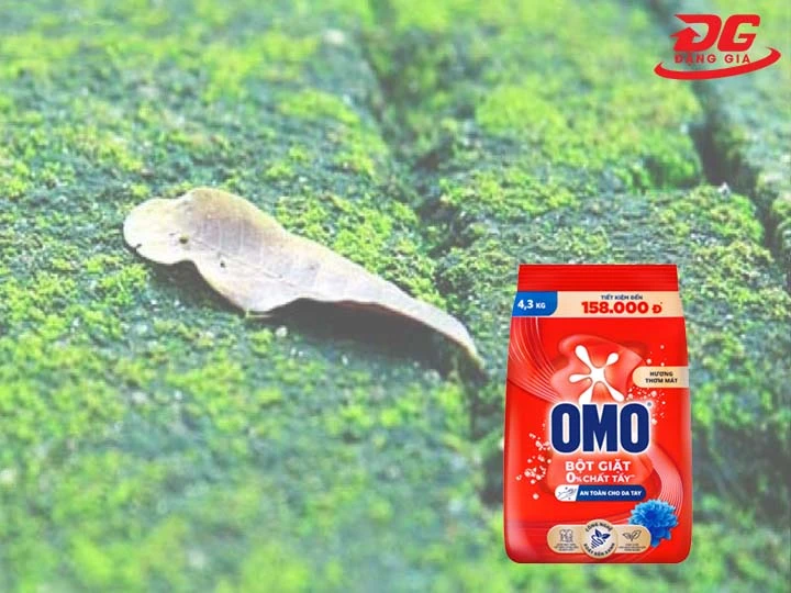 Sử dụng bột giặt diệt rêu mốc