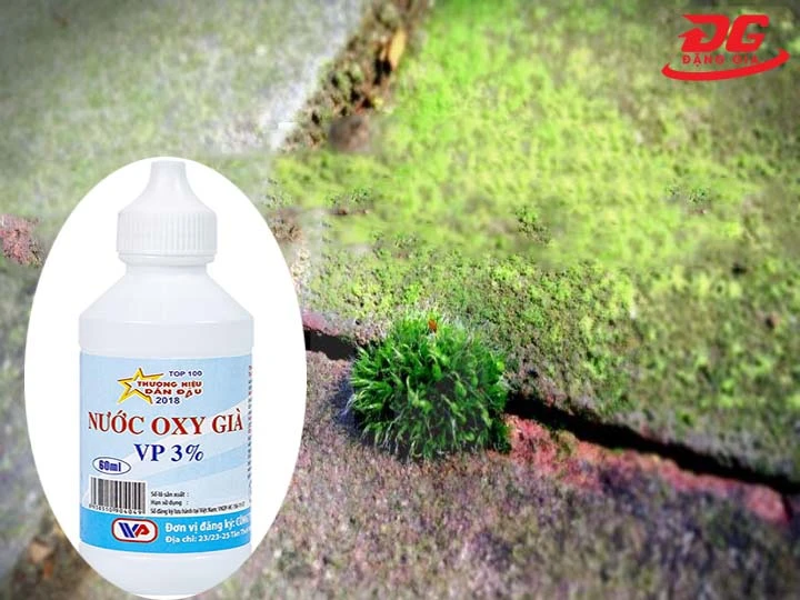 Làm sạch rêu trên nền xi măng bằng oxy già