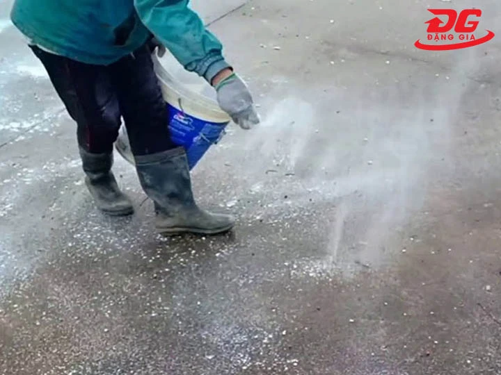 Cách tẩy rêu trên nền xi măng bằng vôi