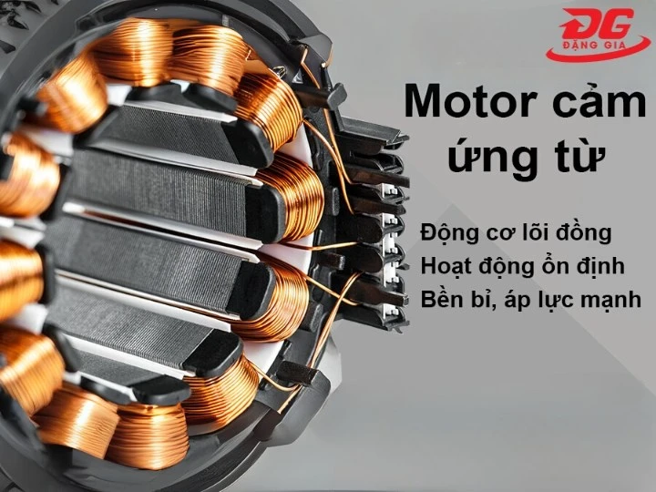motor cảm ứng từ