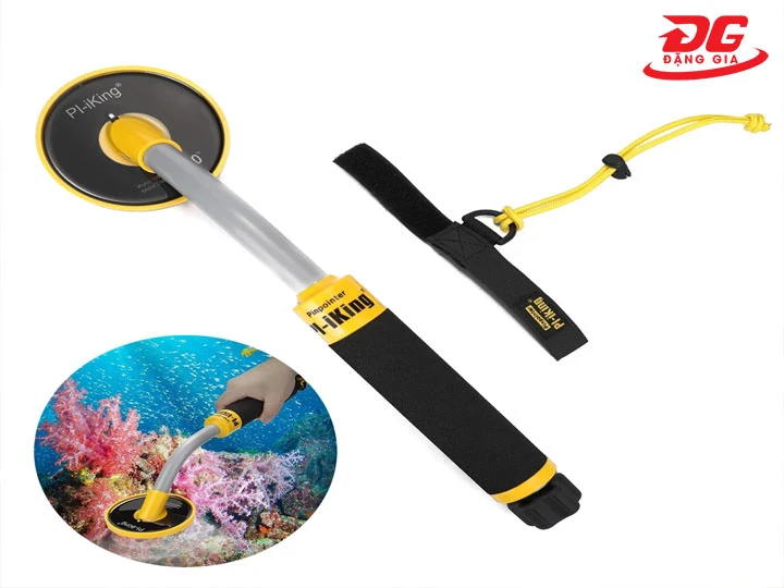 Máy dò kim loại công nghệ PI