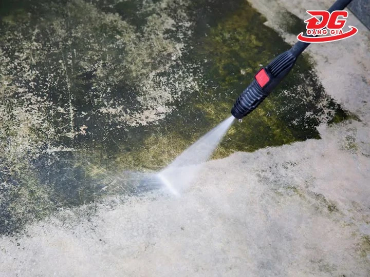 làm sạch rong rêu