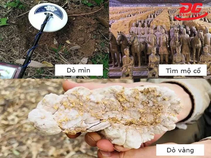 Hoạt động đa dạng môi trường