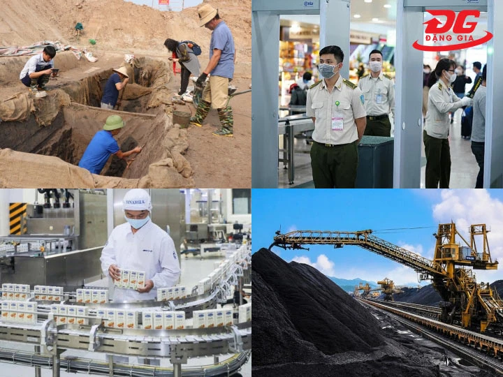 Ứng dụng của máy dò tìm kim loại