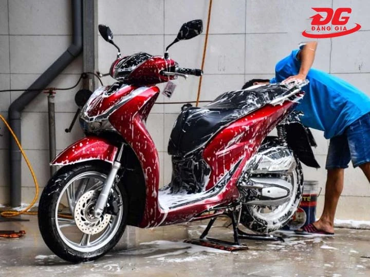 Gara Hydro Detailing