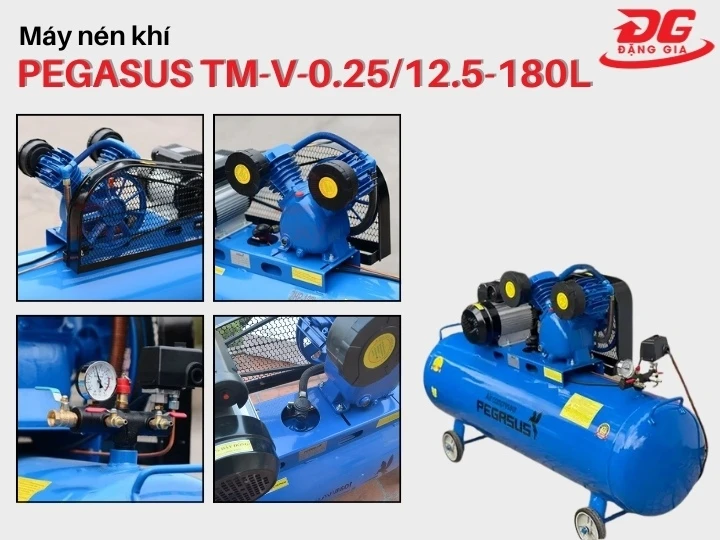 máy nén khí Pegasus TM-V-0.25/12.5-180L kết cấu chắc