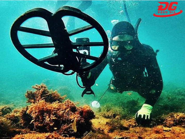 Máy dò kim loại Nokta chống nước tốt