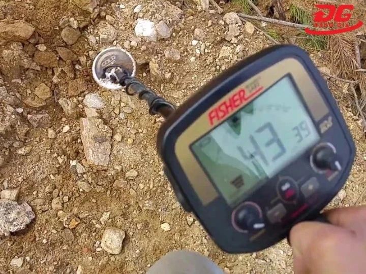 máy dò vàng cốm Gold Bug Pro dò chính xác