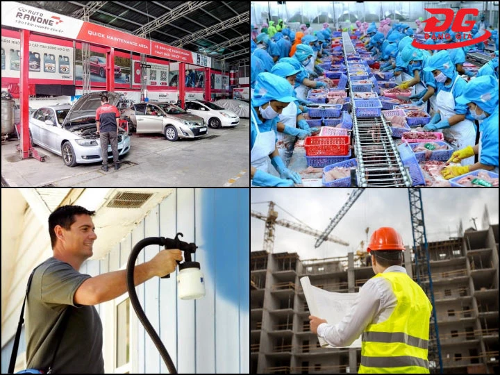 Ứng dụng thực tế của máy bơm hơi Pegasus TM-W-2.0/12.5-500L