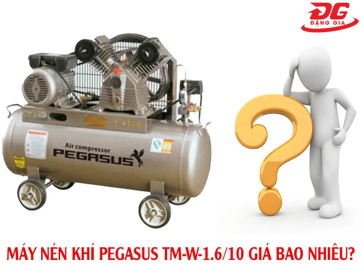 Máy nén khí Pegasus TM-W-1.6/10 bao nhiêu