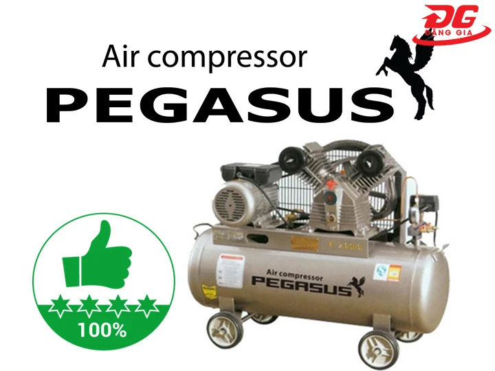 Pegasus thương hiệu máy nén khí nổi tiếng