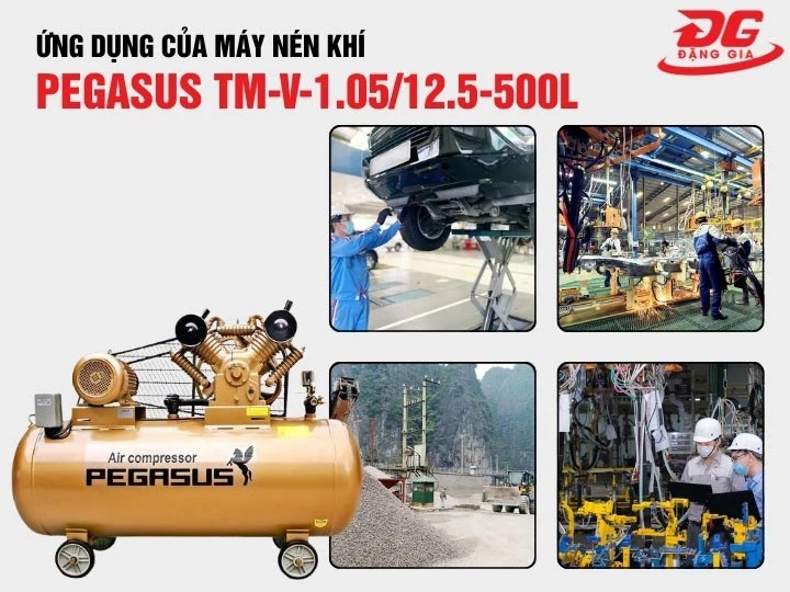ứng dụng của Pegasus TM-V-1.05/12.5-500L