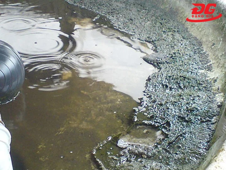 nhiệt độ tháp giải nhiệt tăng cao do chất lượng nước không đảm bảo