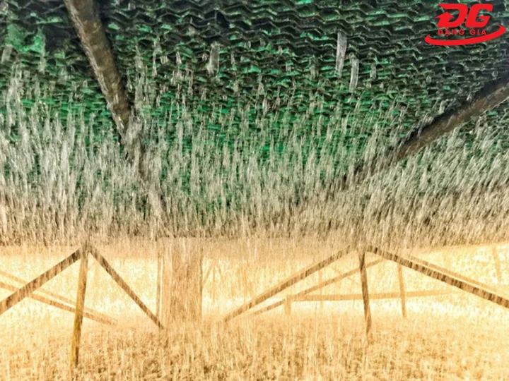 nước rơi bên trong tháp tản nhiệt Masan