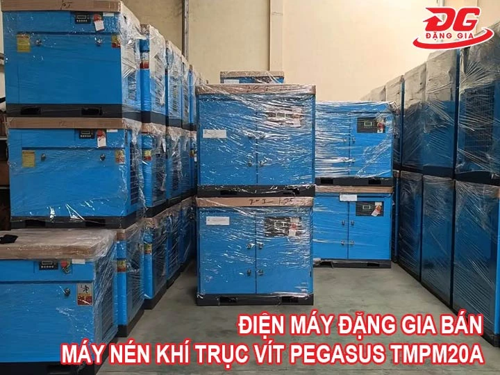 đặng gia bán máy nén khí trục vít Pegasus TMPM20A giá rẻ