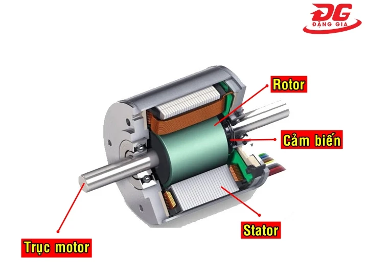 cấu tạo chi tiết của mô tơ máy ép nhựa