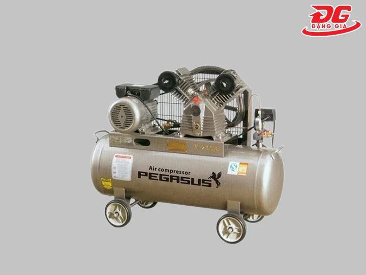 Pegasus TM-W-1.6/10-500L