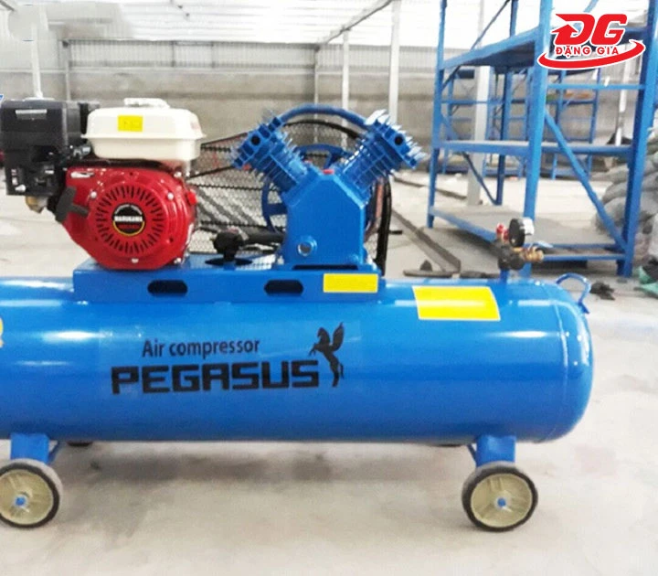 Pegasus TM-V-0.25/8-100L