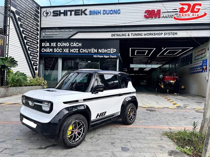 SHITEK BÌNH DƯƠNG