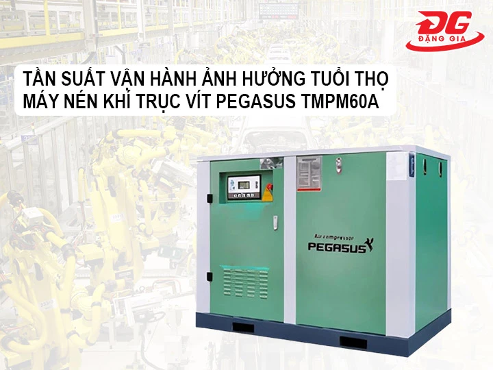 tần suất vận hành ảnh hưởng tuổi thọ của Pegasus TMPM60A