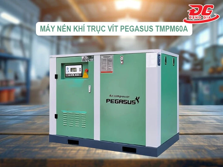 máy nén khí trục vít Pegasus TMPM60A