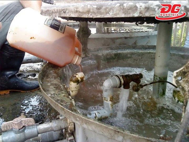 xử lý rong rêu chiller bằng hoá chất