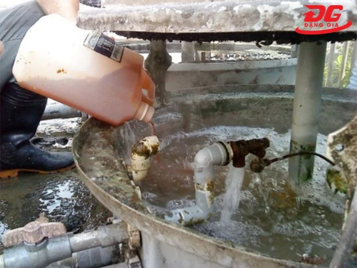 Rong rêu tháp giải nhiệt sinh ra do hóa chất