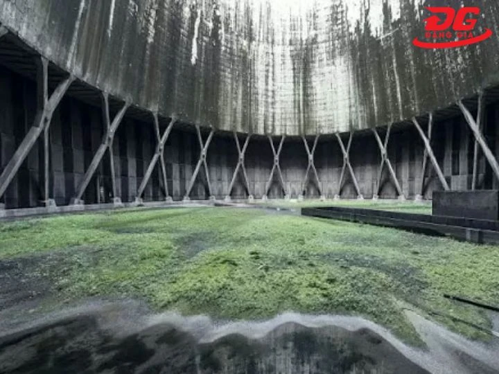 Rong rêu tháp giải nhiệt sinh ra do tác nhân ngoại cảnh