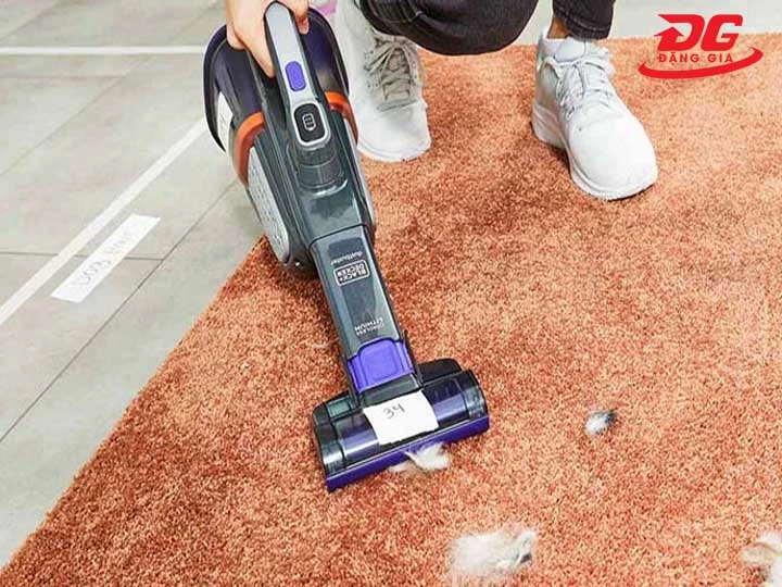 máy hút bụi bị hôi do bám bông thú cưng