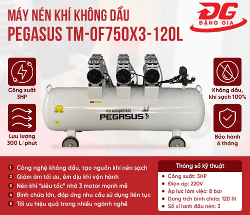Máy nén khí không dầu Pegasus TM-OF750x3-120L 2